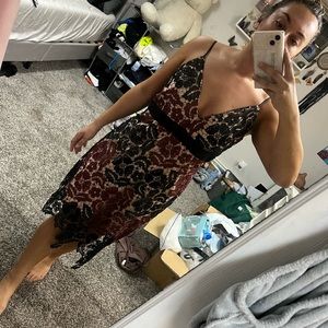 Bardot cocktail dress US12